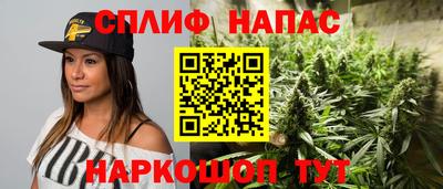 амф Можга