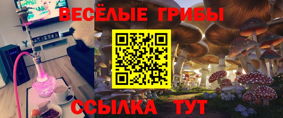Галлюциногенные грибы мухоморы  Вход с VPN  Хабаровск 